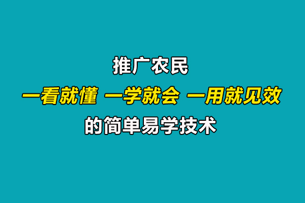 引導(dǎo)農(nóng)民合理施肥用藥,推廣一看就懂、一學(xué)就會(huì)、一用就見(jiàn)效的技術(shù)